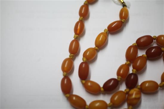 A single strand graduated oval amber bead necklace, 50cm.